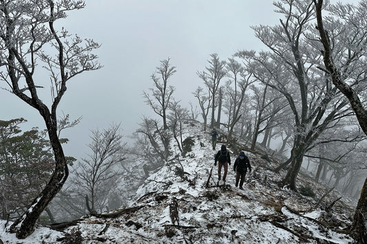 地蔵岳-大崩山(祖母傾大崩山系)を歩く | 雨・霰・晴・雪の山歩き
