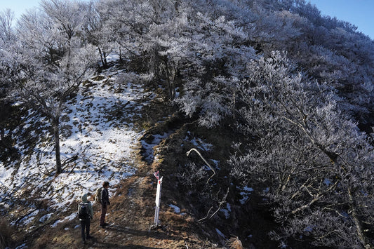 親父山-祖母山(祖母傾山系)を歩く | お客さまの楽しみ兼トレーニングで祖母山へ