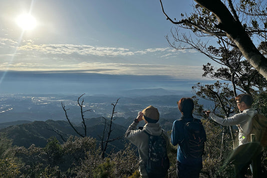 綾岳-釈迦ヶ岳(宮崎県綾町・国富町)を歩く | 中年トレーニング山行