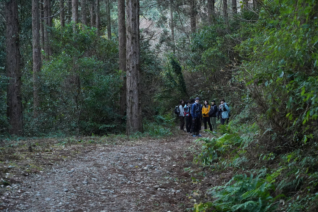 加江田渓谷(宮崎県宮崎市)を歩く | コミュニティの方々と朝の散策
