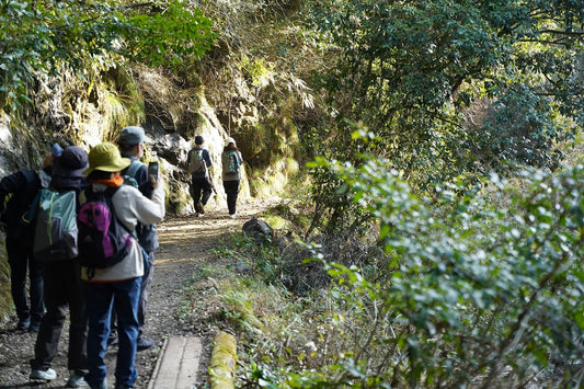 加江田渓谷(宮崎県宮崎市)を歩く | 毎月恒例の朝のブラリ歩き