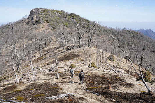 五葉岳(宮崎県日之影町)を歩く | 静かな山を貸切でブラリ