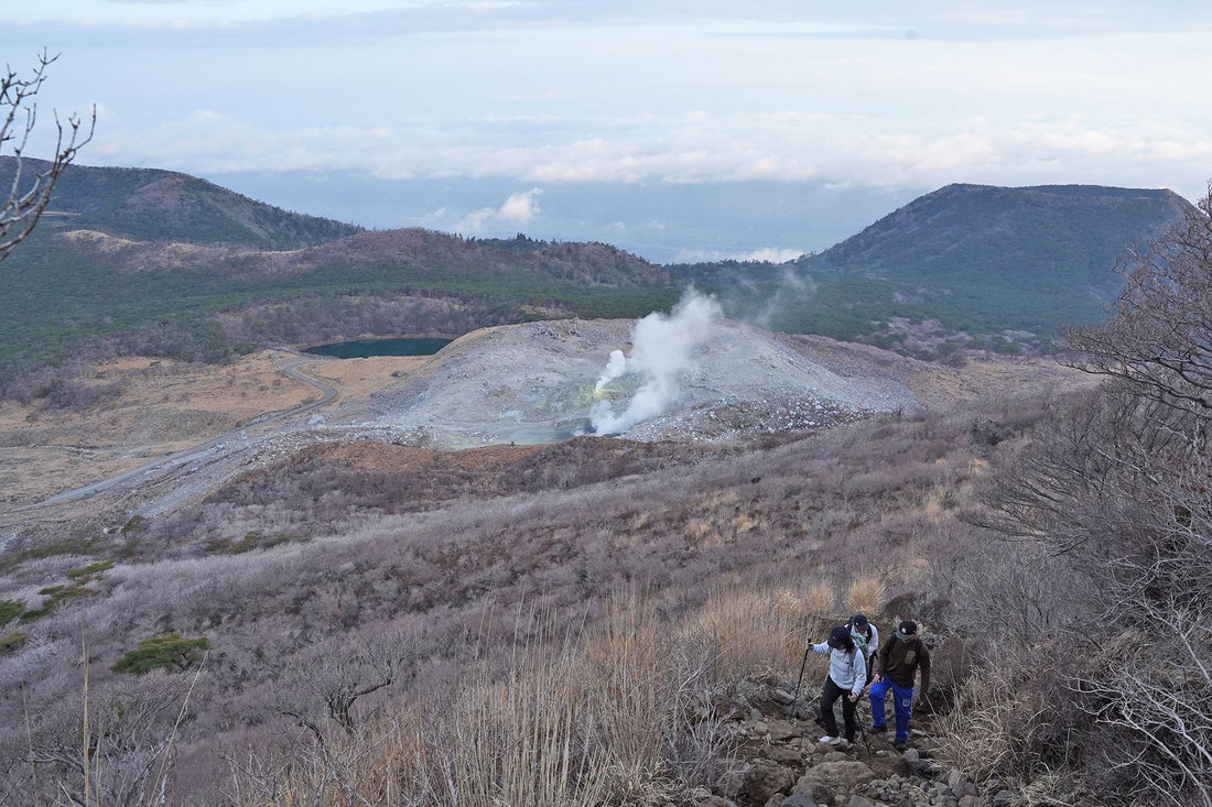韓国岳(霧島山系)を歩く | 親子ハイキングのお供に朝の山をブラリ