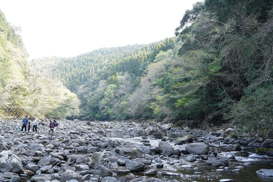 お子さまと楽しむ、朝の渓谷 | PORTAL Fellowship