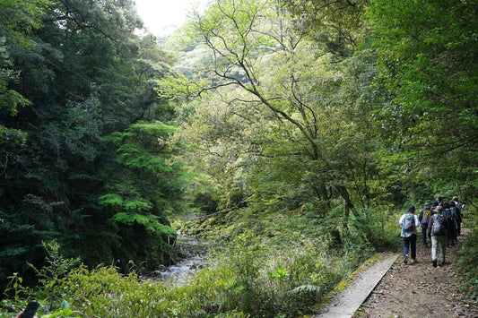 朝の加江田渓谷HIKINGと交流会