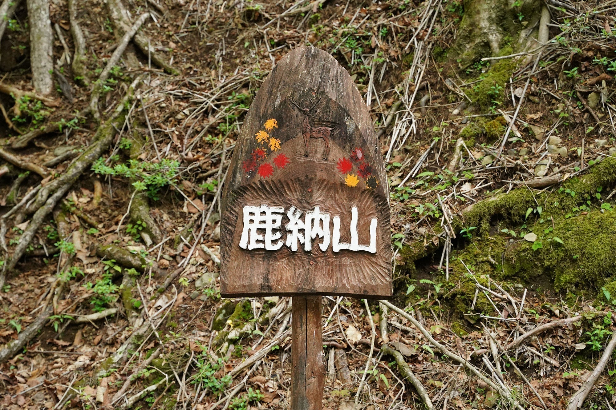 鹿納山(宮崎県上鹿川)を歩く | 宮崎県北部の名峰を花と楽しむ – PORTAL 鹿納山(宮崎県上鹿川)を歩く | 宮崎県北部の名峰を花と楽しむ – PORTAL
