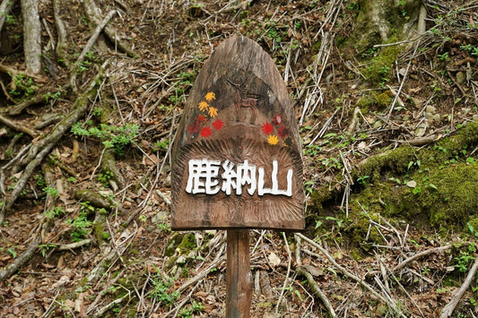 鹿納山(宮崎県上鹿川)を歩く | 宮崎県北部の名峰を花と楽しむ