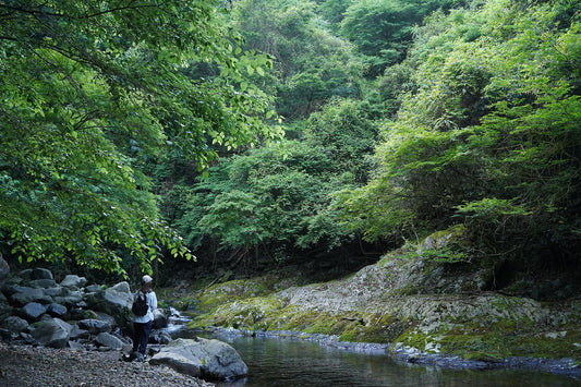 FLY FISHING | 出勤前の渓谷