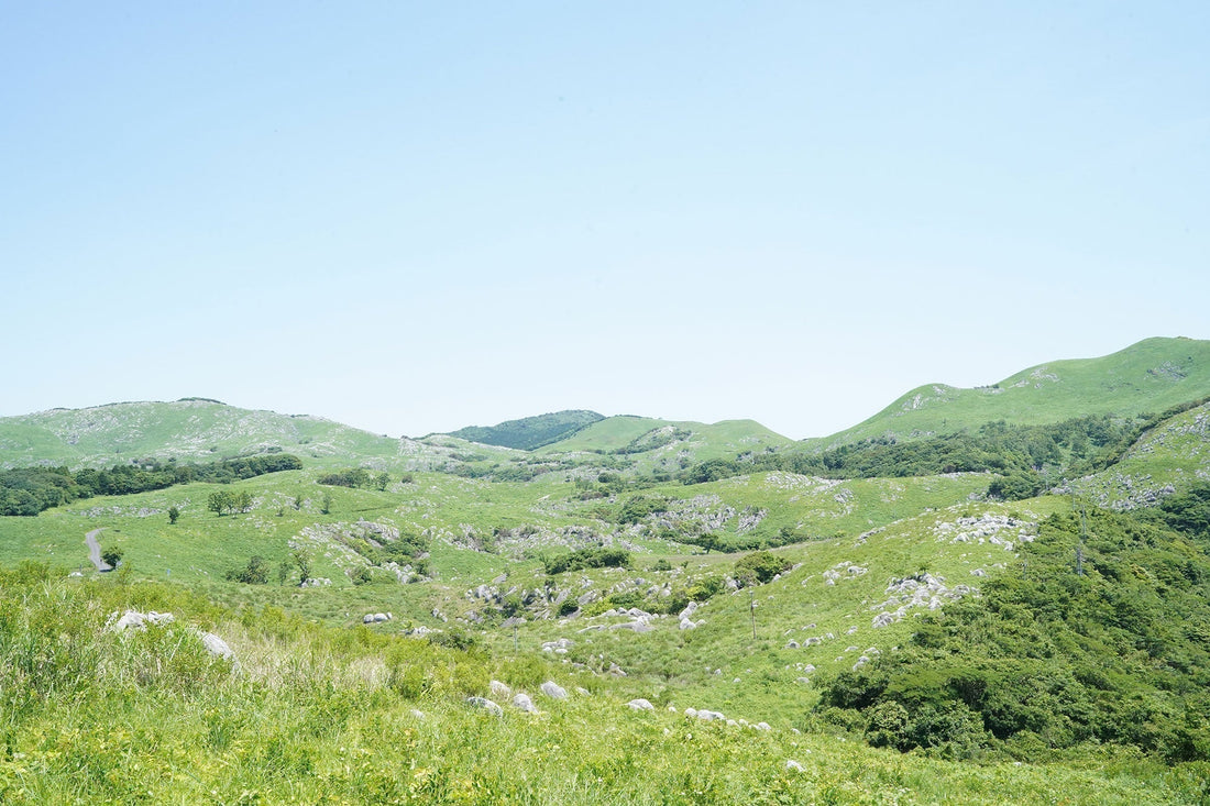 平尾台・貫山(福岡県北九州市)を歩く | 緑美しい平尾台のブラリ旅