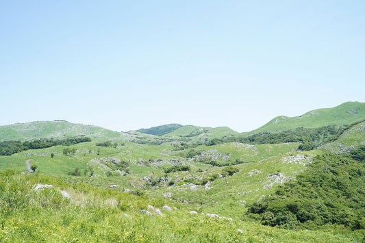 平尾台・貫山(福岡県北九州市)を歩く | 緑美しい平尾台のブラリ旅