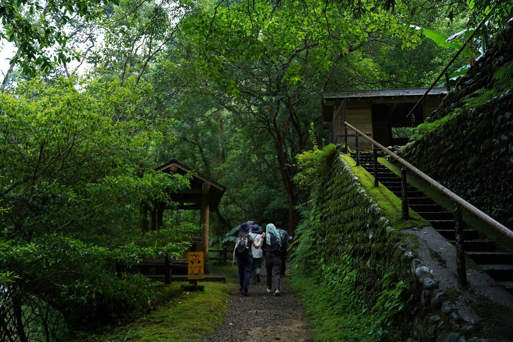 毎月恒例：朝の加江田渓谷
