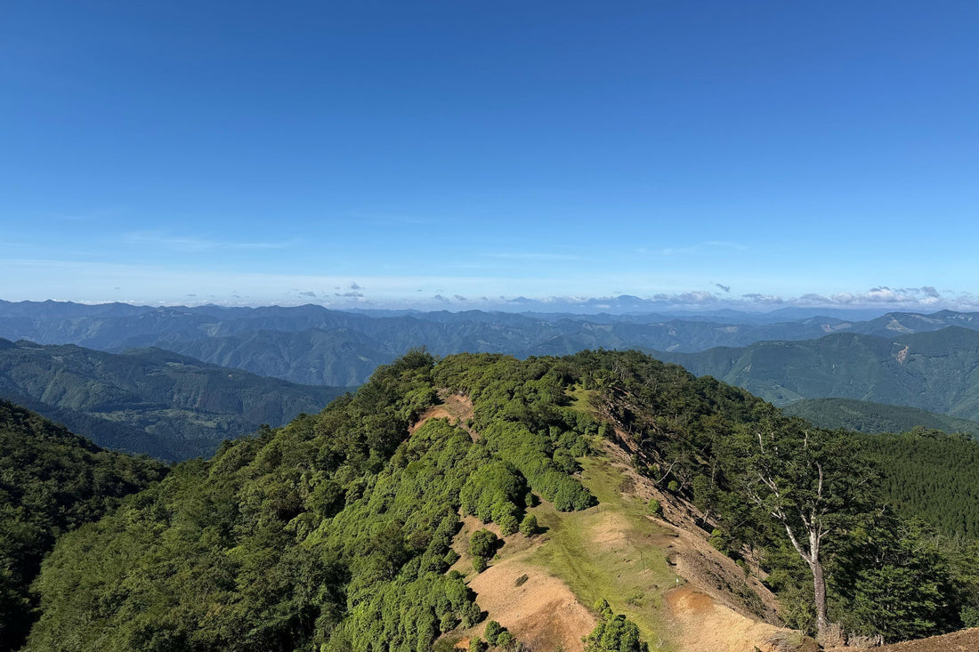 石堂山(宮崎県西米良村)を歩く | 梅雨が明けた晴天の山歩き