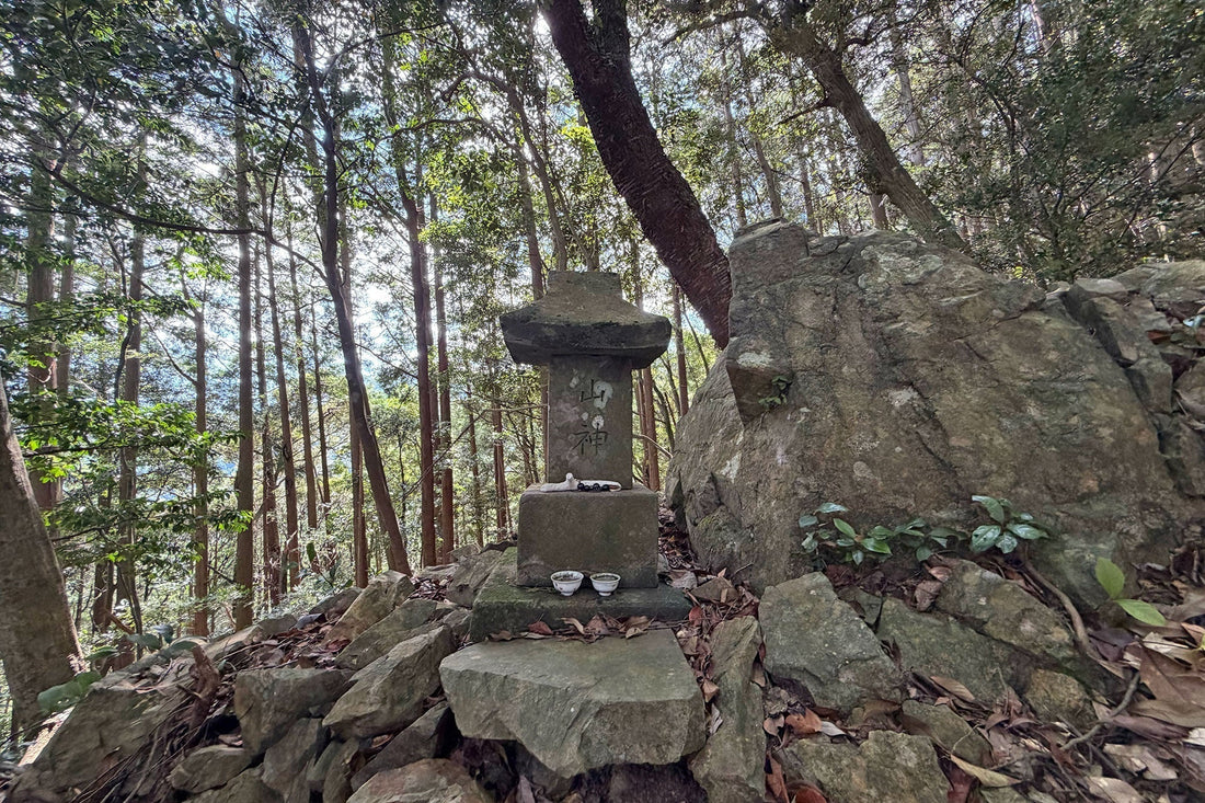 釈迦ヶ岳(宮崎県国富町)を歩く | 猛暑日の日中に山をぶらり