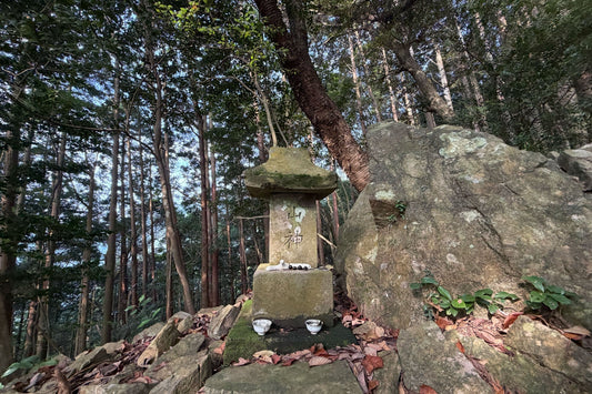 釈迦ヶ岳(宮崎県国富町)を歩く | コミュニティのメンバーと出勤前の山歩き