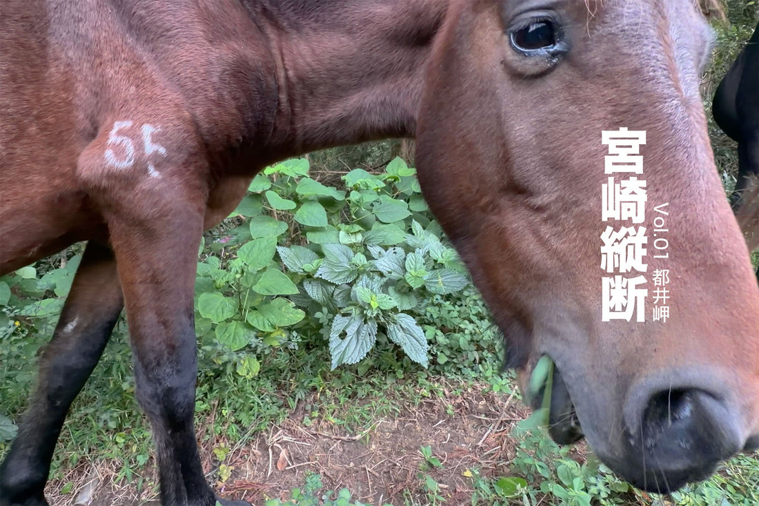 宮崎縦断 Vol.01 | 都井岬