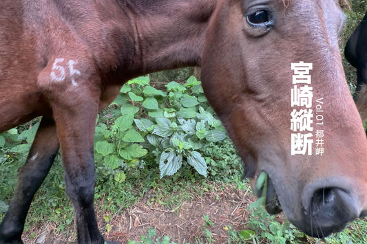 宮崎縦断 Vol.01 | 都井岬