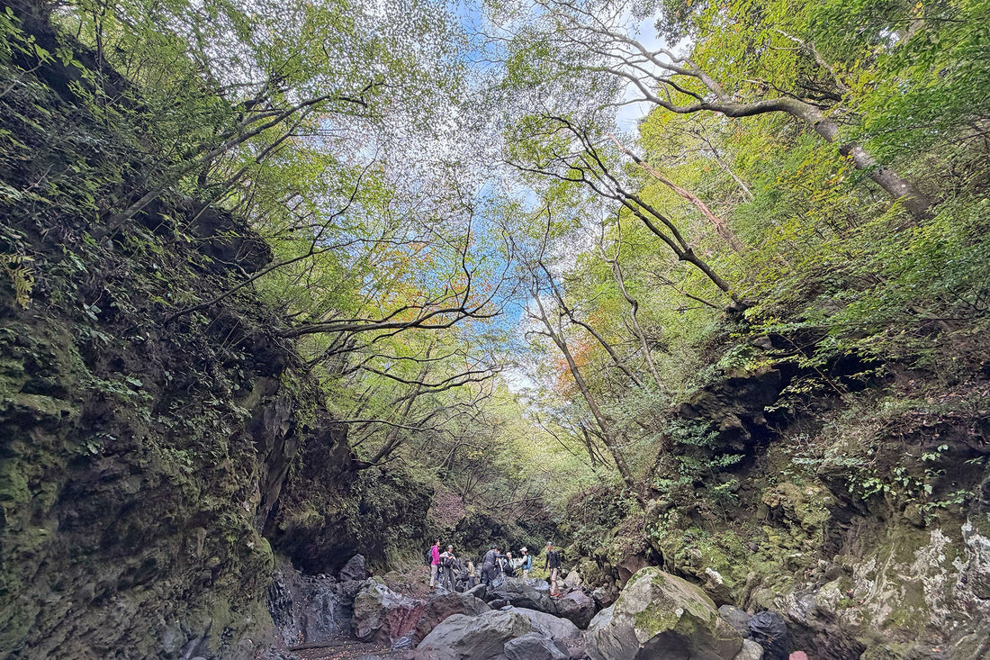 溶岩流の谷を楽しむ | 迫力ある風景を楽しむ冒険へ