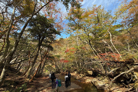 いつもとは違う仕事で山へ