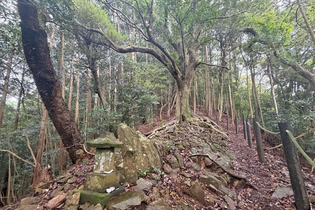 釈迦ヶ岳(宮崎県国富町)を歩く | トレーニング山行