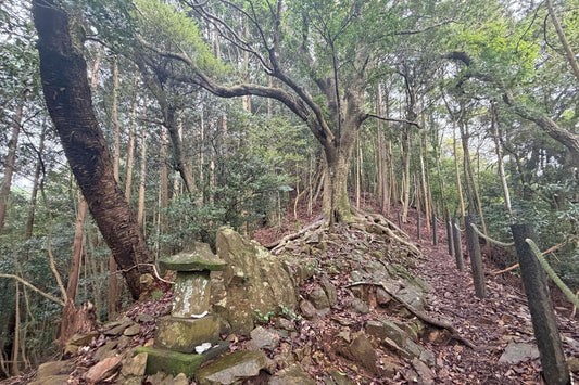 釈迦ヶ岳(宮崎県国富町)を歩く | トレーニング山行