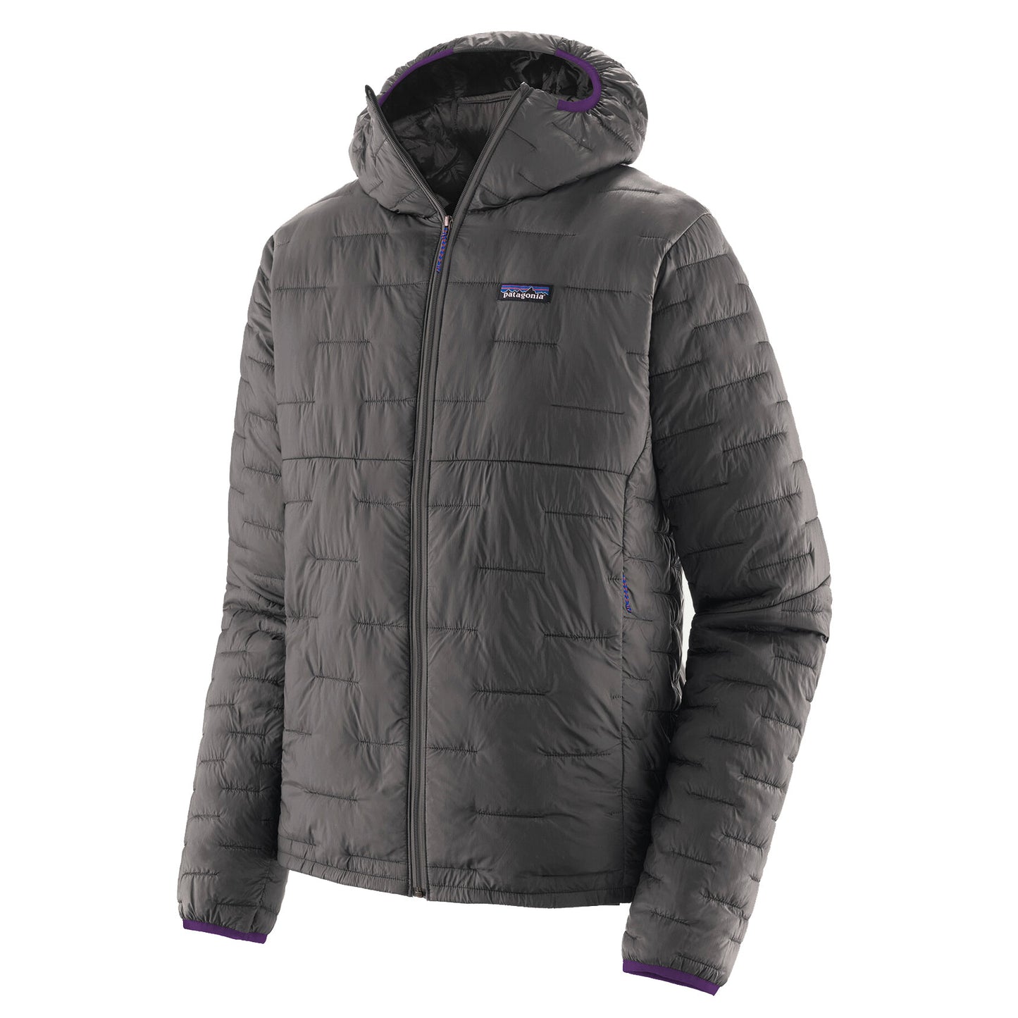 patagonia(パタゴニア) Men's Micro Puff Hoody 84031