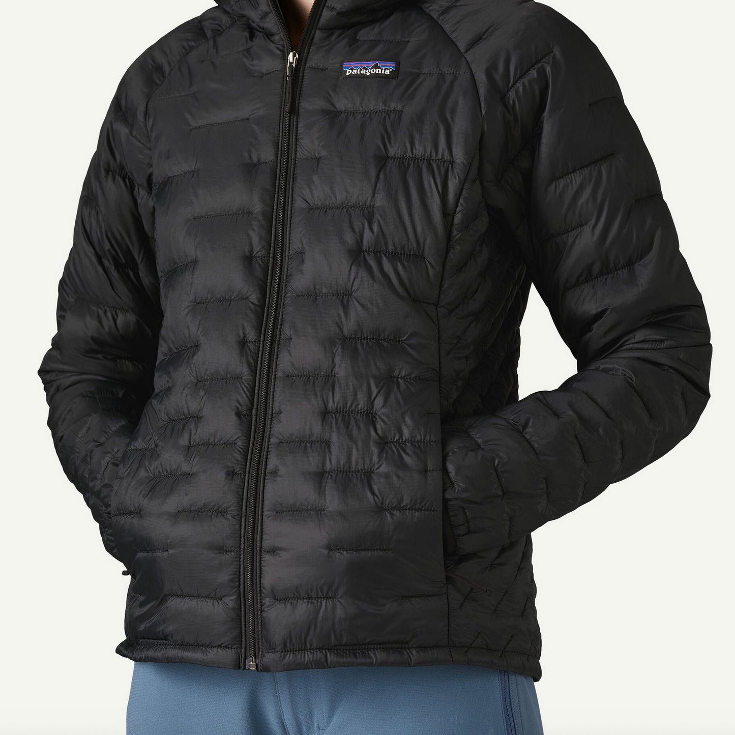 patagonia(パタゴニア) Women's Micro Puff Hoody 84041