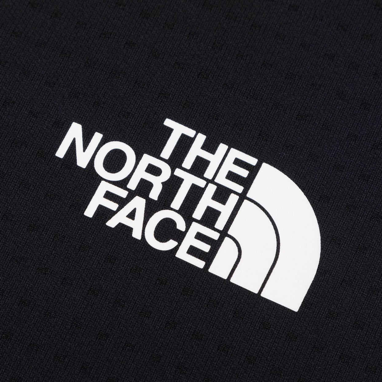 TheNorthFace(ザ・ノース・フェイス) Men's S/S Dry Dot Light Crew NT12588