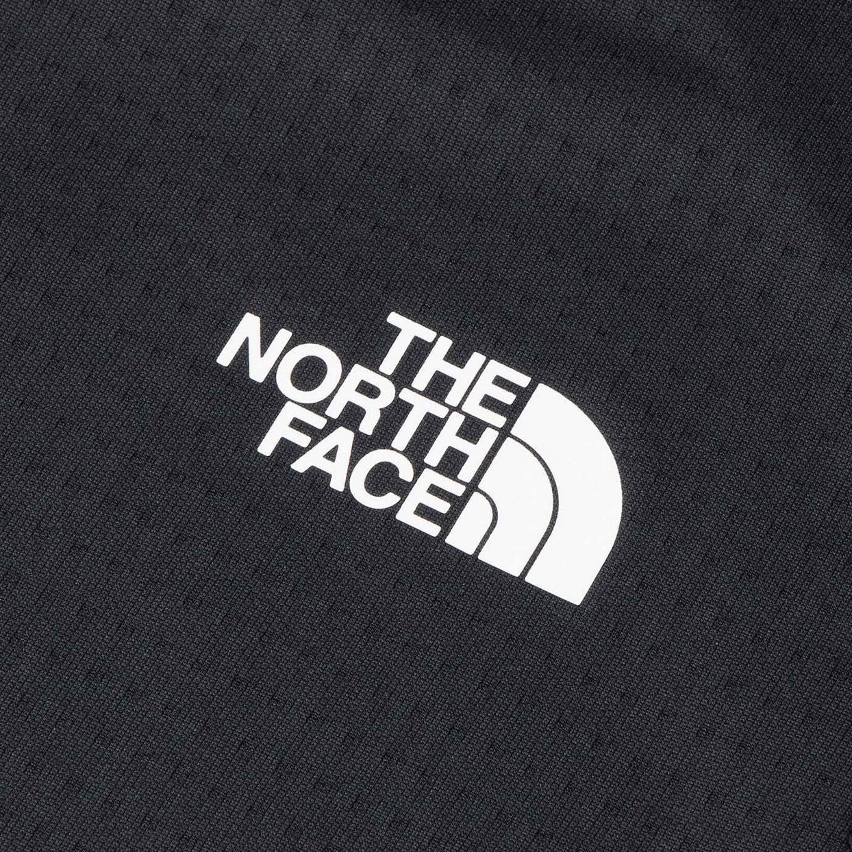 TheNorthFace(ザ・ノース・フェイス) Women's S/S Dry Dot Light Crew NTW12588