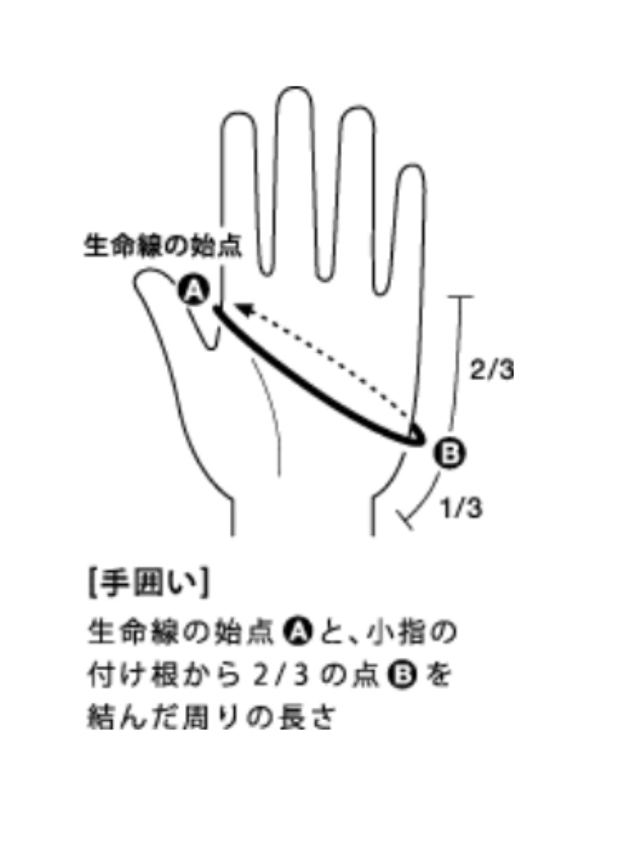 TheNorthFace(ザ・ノース・フェイス) Inferno Approach Glove NN62202