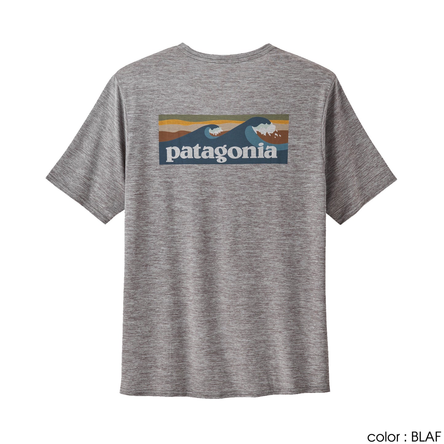 patagonia(パタゴニア) Men's Capilene Cool Daily Graphic Shirt - Waters 45355