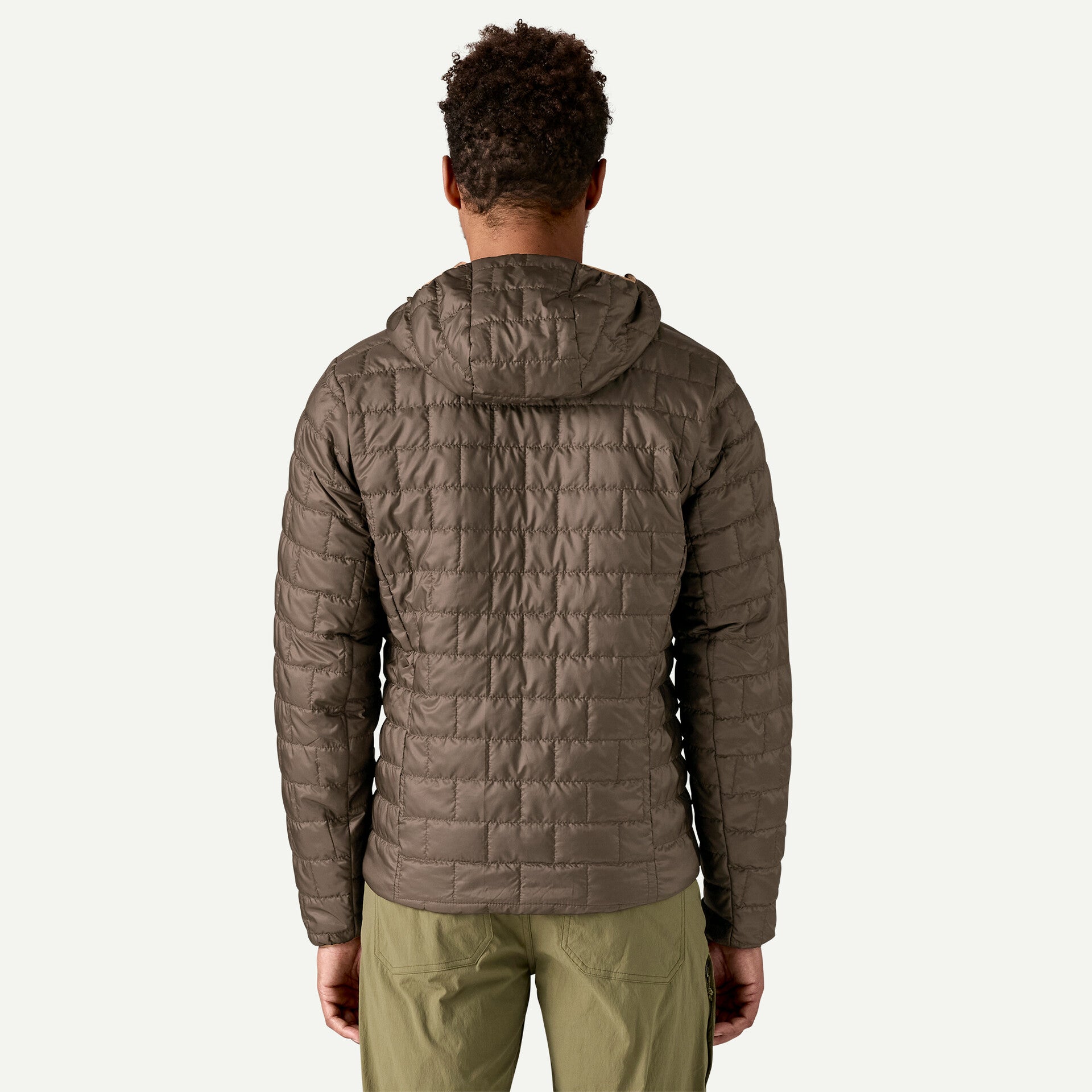 patagonia(パタゴニア) Men's Nano Puff Fitz Roy Trout Hoody 84456
