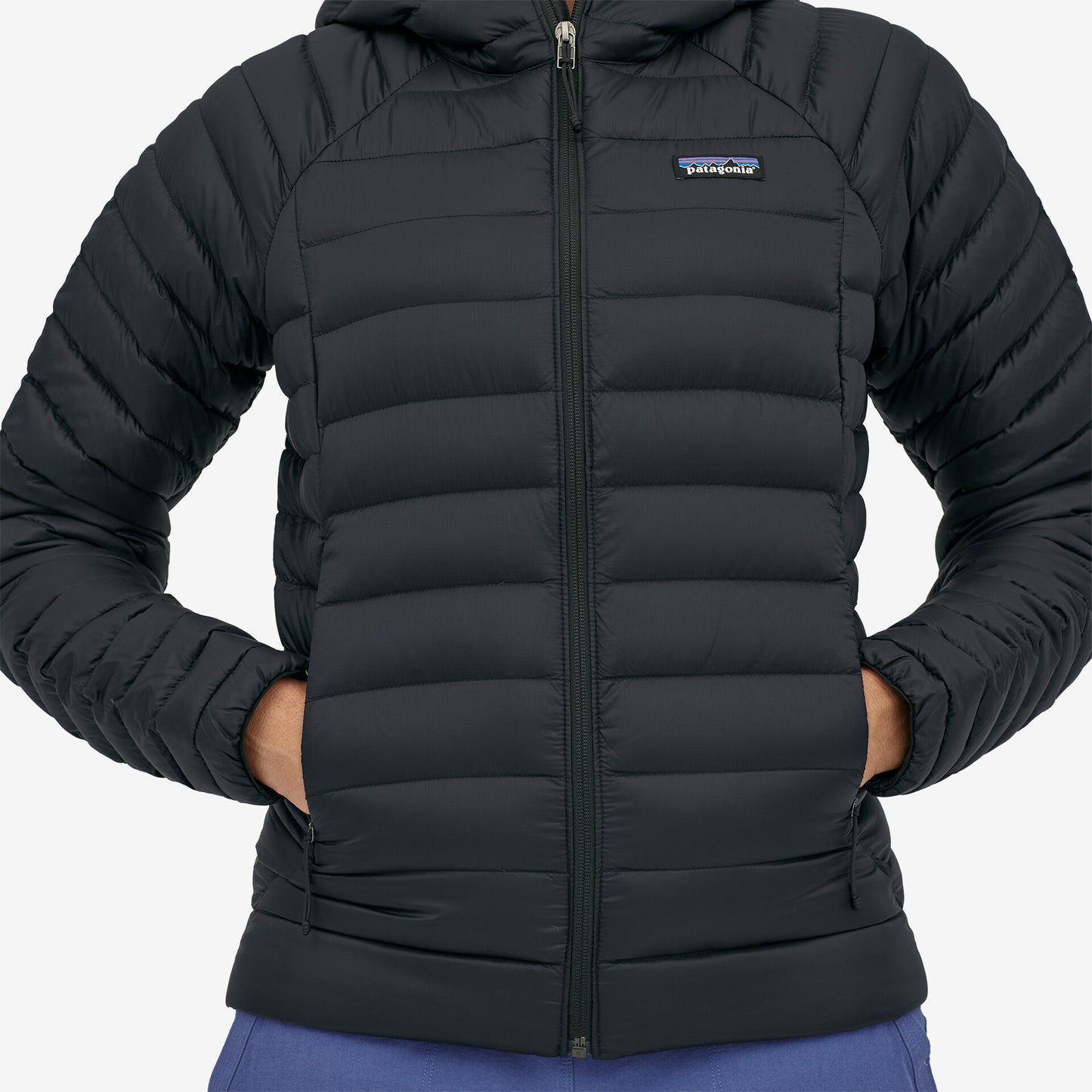 patagonia(パタゴニア) Women's Down Sweater Hoody 84712