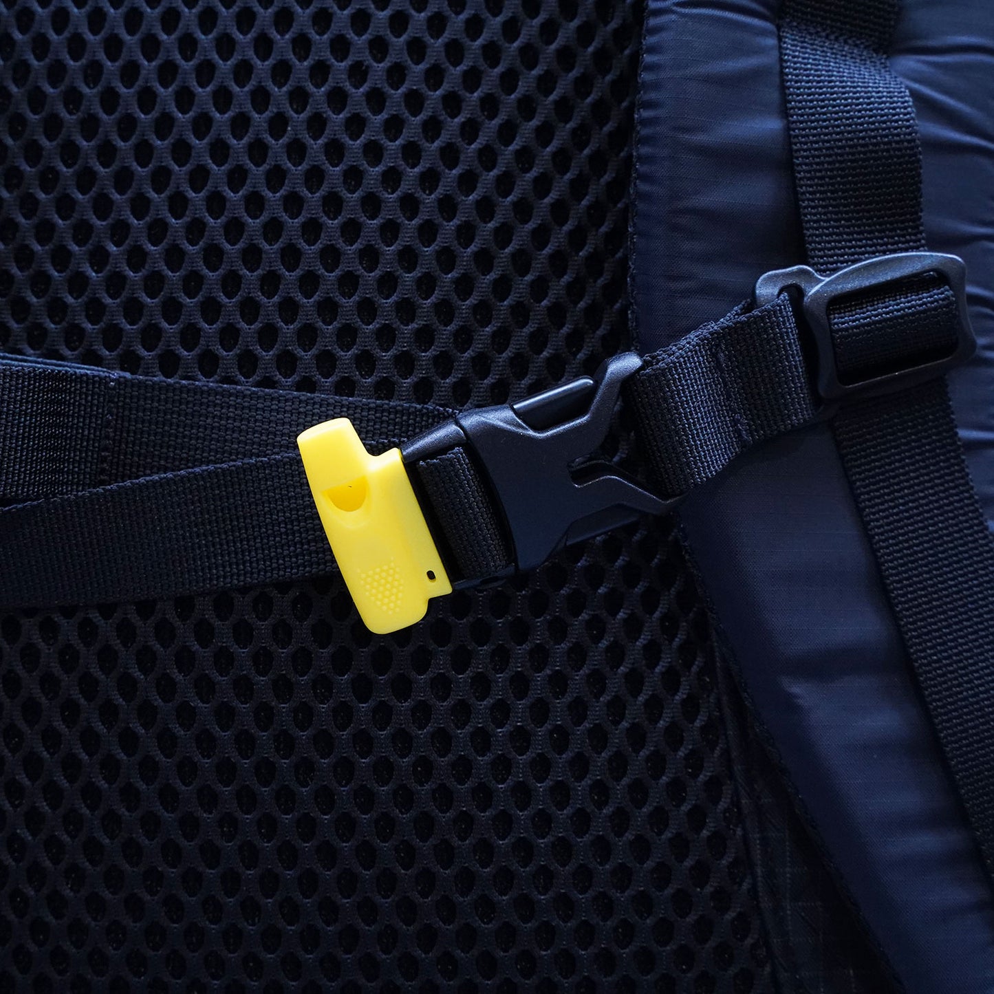 CAYL(ケイル) Biseul B-Grid