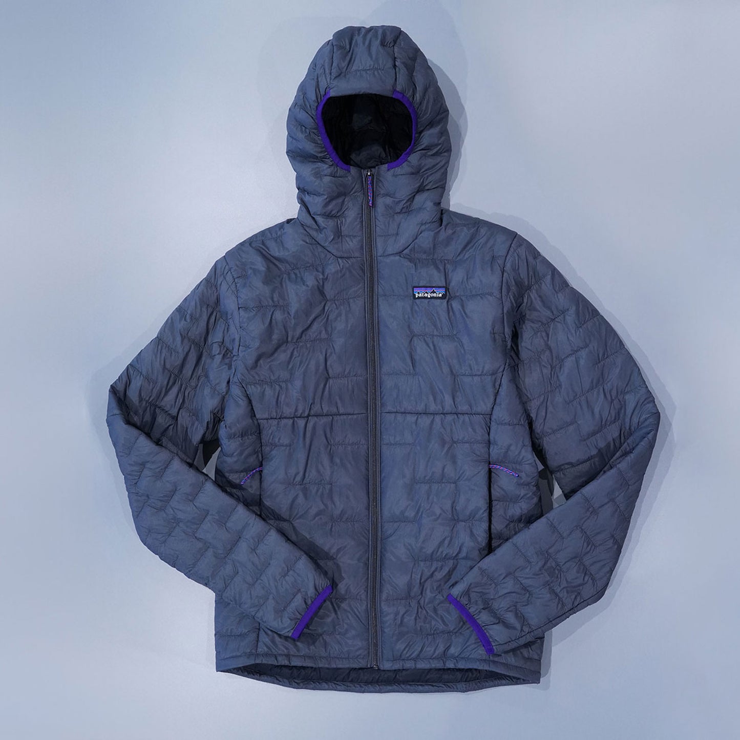 patagonia(パタゴニア) Men's Micro Puff Hoody 84031