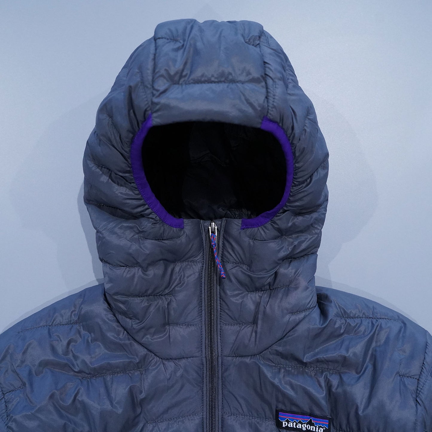 patagonia(パタゴニア) Men's Micro Puff Hoody 84031