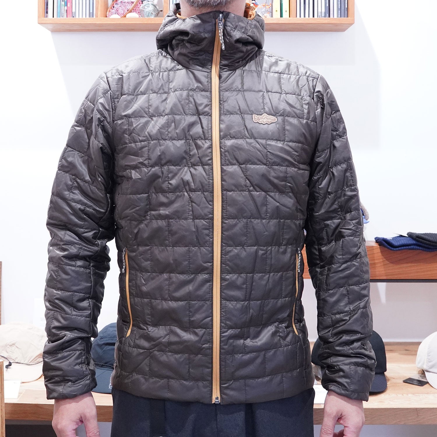 patagonia(パタゴニア) Men's Nano Puff Fitz Roy Trout Hoody 84456