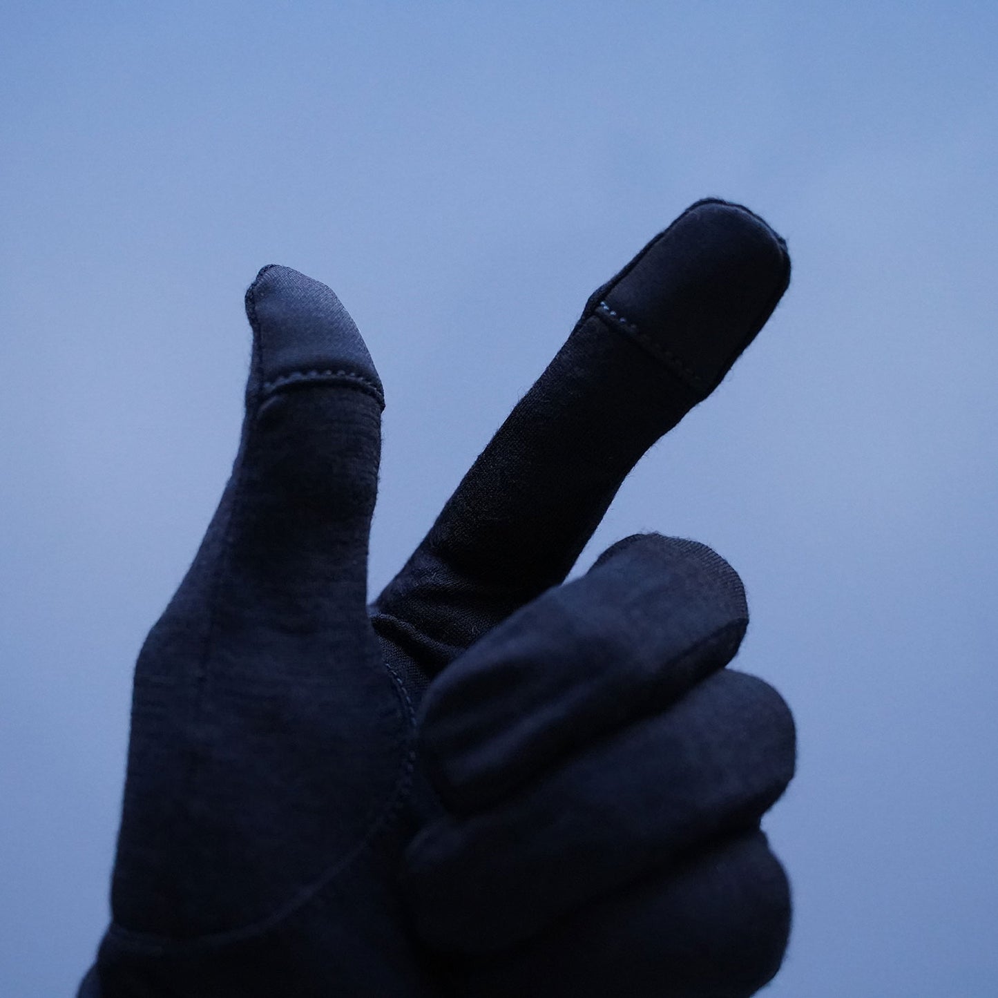 smartwool(スマートウール) Merino Glove SW66800